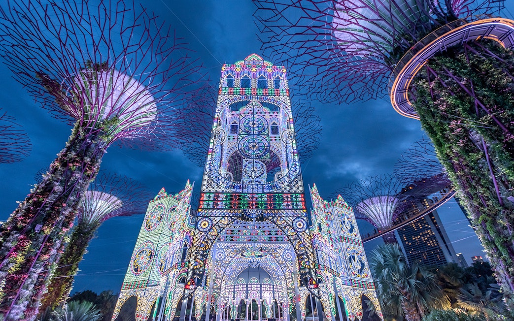 Gardens by the Bay Supertree Grove illuminated at night, Singapore Night Tour.