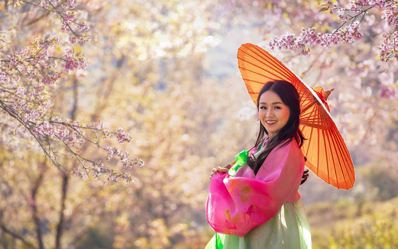 Young woman in traditional attire with parasol during Seoul Cherry Blossom Tour.