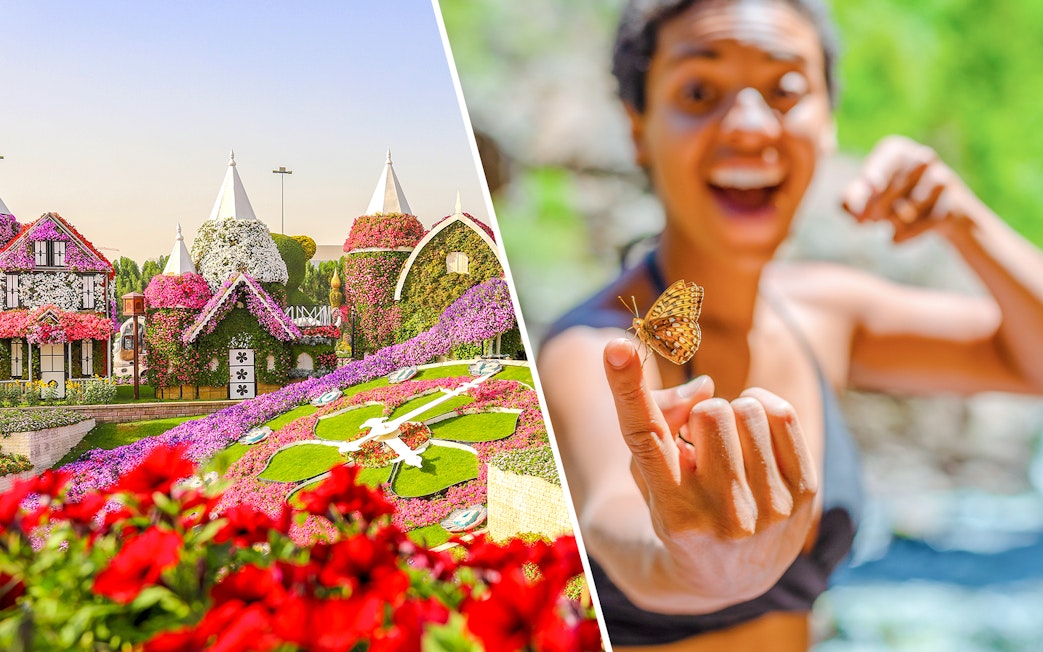 Dubai Miracle Garden floral display and person holding butterfly at Dubai Butterfly Garden.