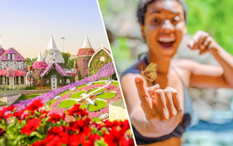Dubai Miracle Garden floral display and person holding butterfly at Dubai Butterfly Garden.