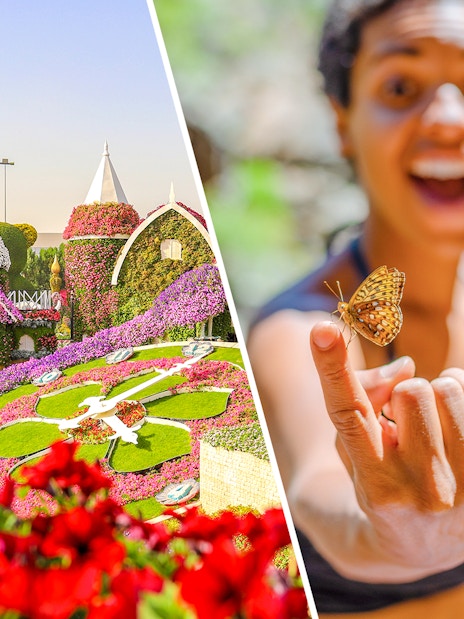 Dubai Miracle Garden floral display and person holding butterfly at Dubai Butterfly Garden.