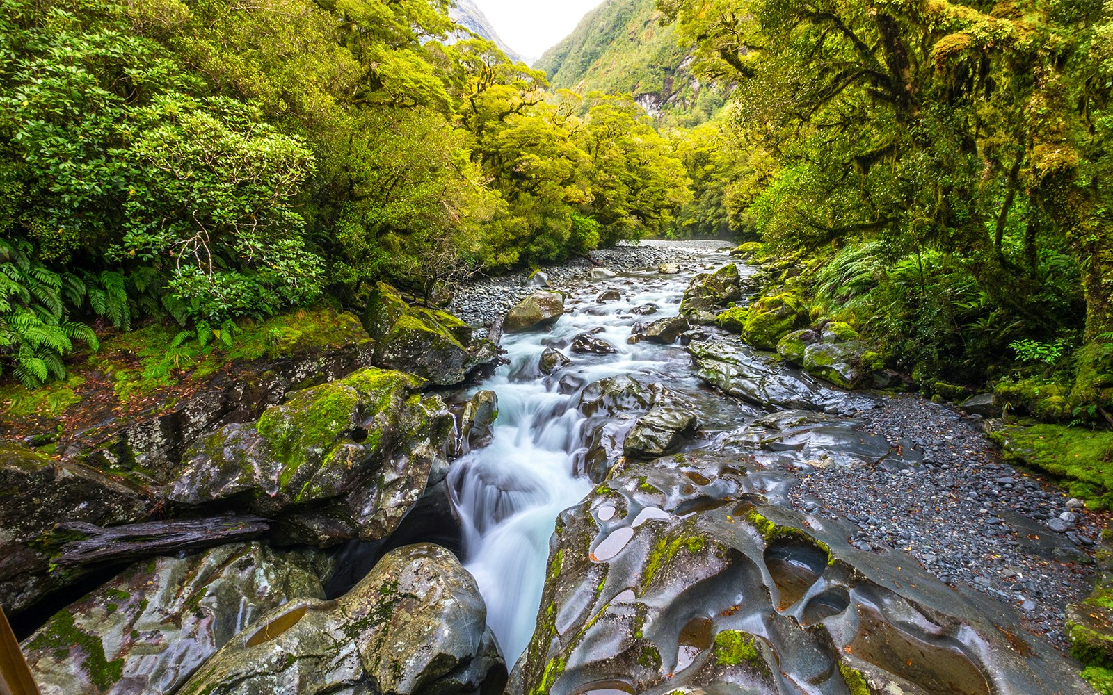 The Chasm Fall cascading through lush forest in Fiordland National Park, Milford Sound, New Zealand.