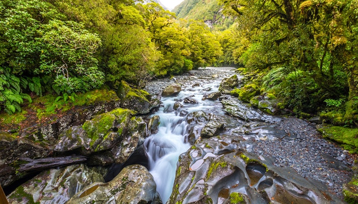 The Chasm Fall cascading through lush forest in Fiordland National Park, Milford Sound, New Zealand.
