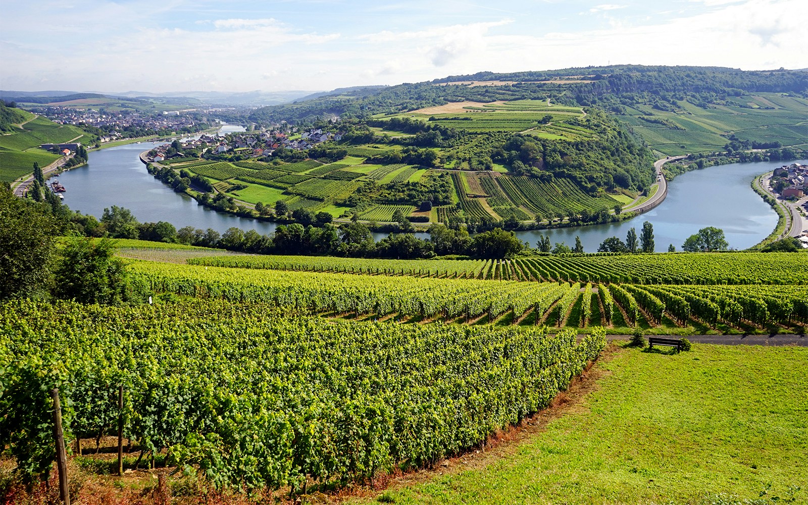 Weingut Markus Molitor