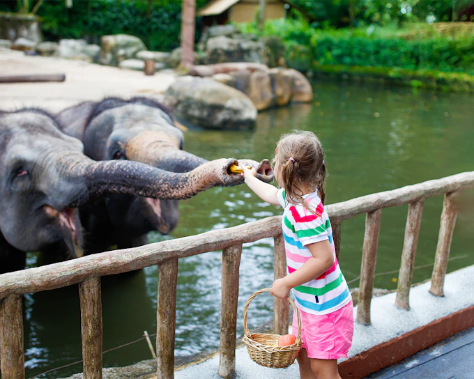 Warsaw Zoo Skip-the-Line Tickets