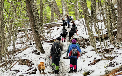 Hikers trekking through snowy forest on Vinciguerra Glacier trail, Ushuaia.