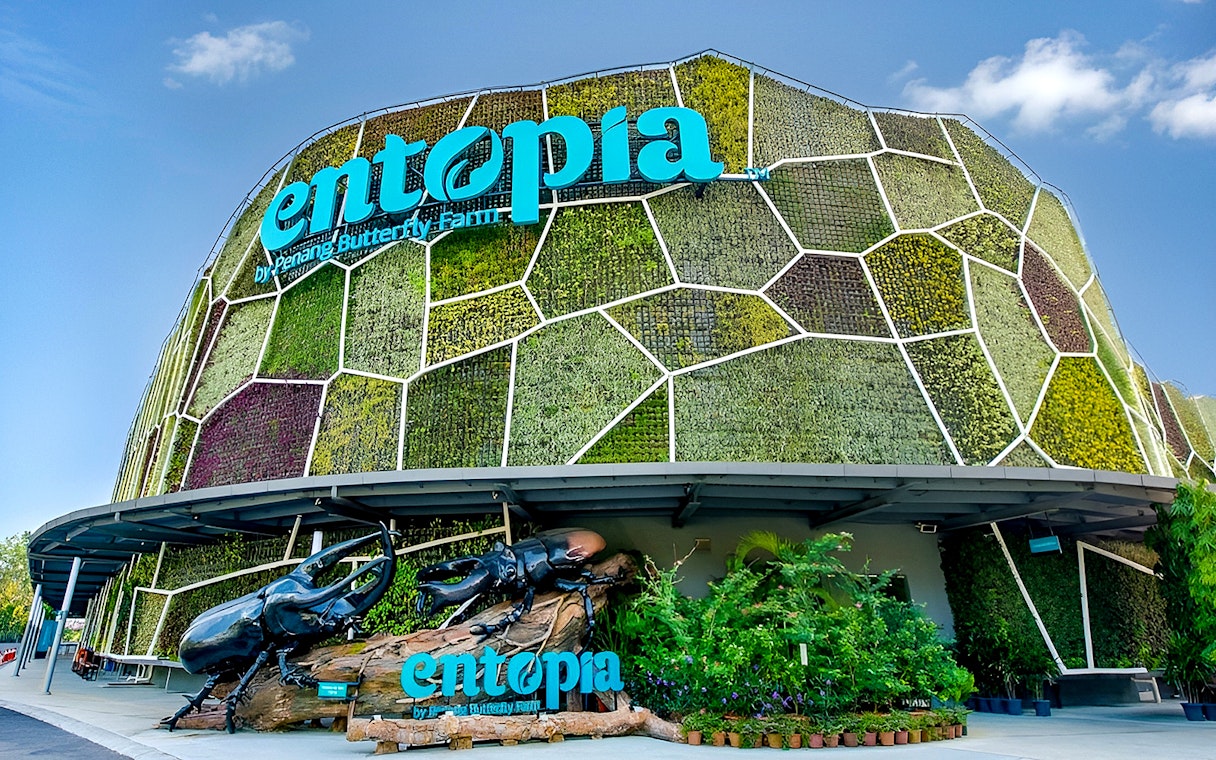 Entrance of Entopia by Penang Butterfly Farm with green wall and beetle sculpture.