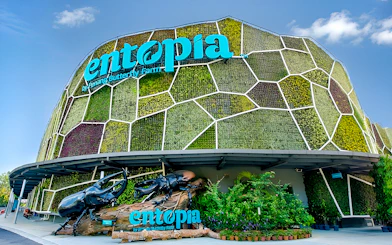 Entrance of Entopia by Penang Butterfly Farm with green wall and beetle sculpture.