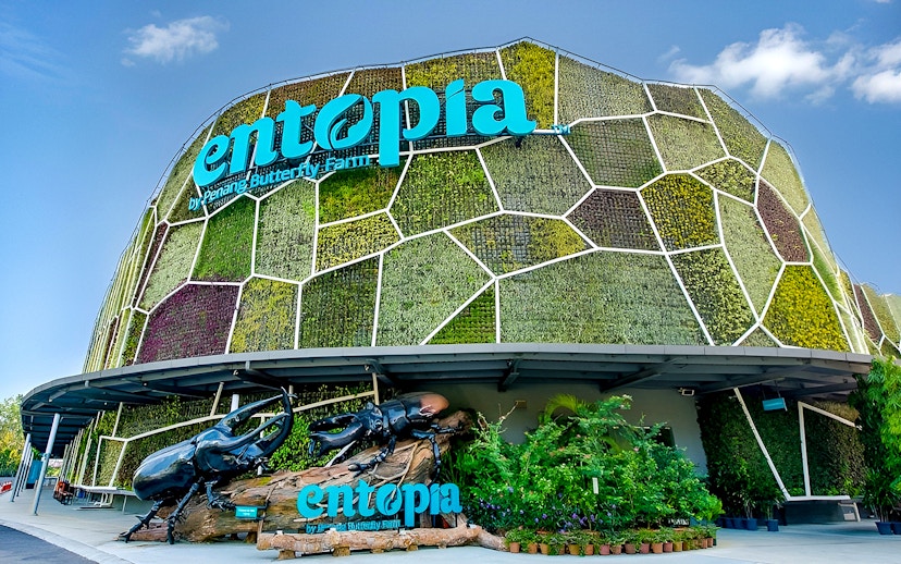 Entrance of Entopia by Penang Butterfly Farm with green wall and beetle sculpture.