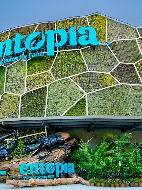 Entrance of Entopia by Penang Butterfly Farm with green wall and beetle sculpture.