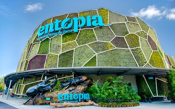 Entrance of Entopia by Penang Butterfly Farm with green wall and beetle sculpture.