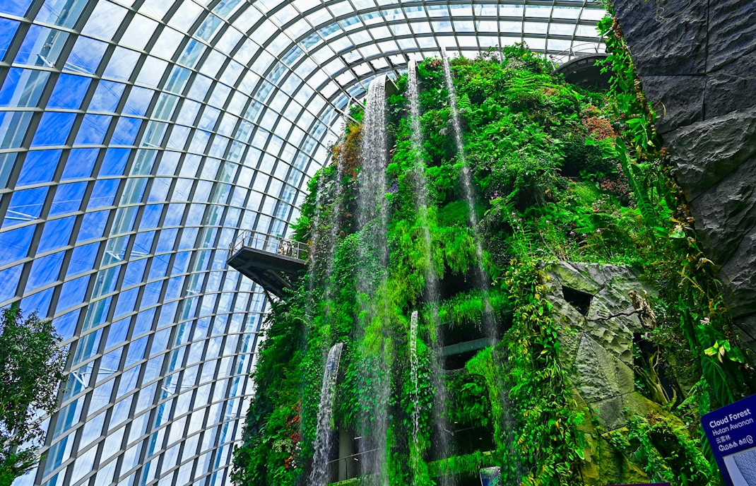 About  Floral Fantasy Singapore