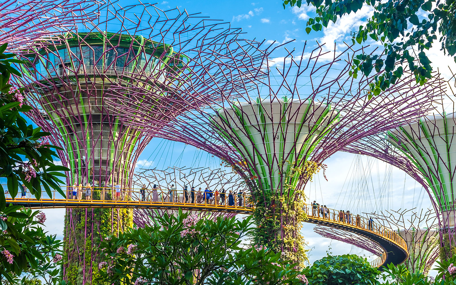 How to plan the perfect trip to Gardens by the Bay