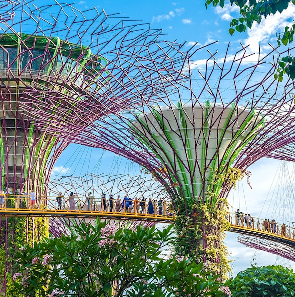 How to plan the perfect trip to Gardens by the Bay