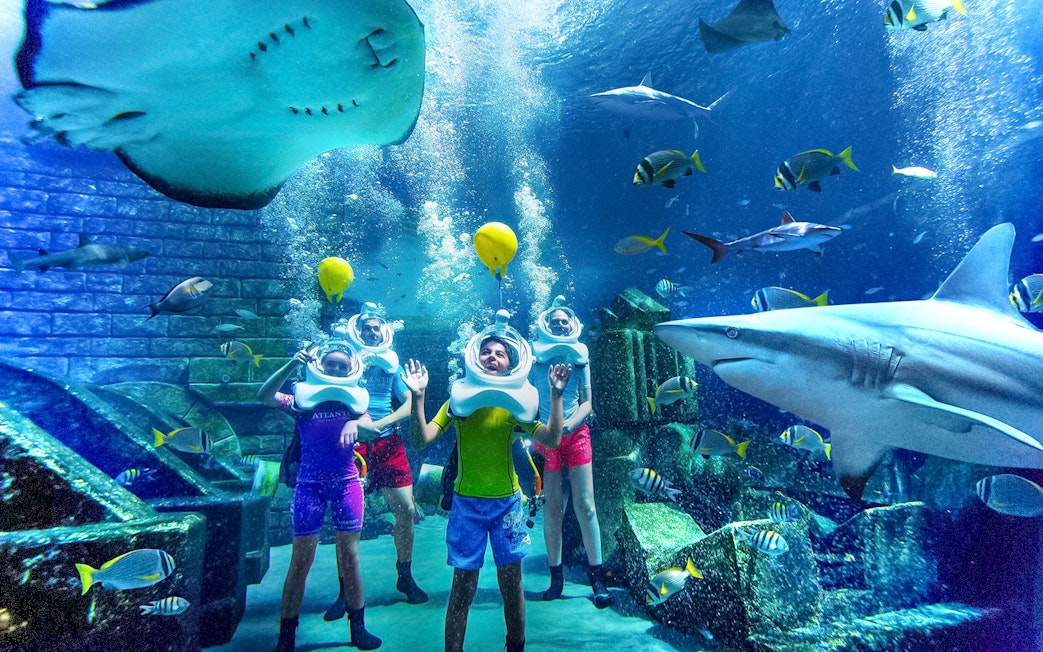 Visitors in diving helmets explore Shark Lagoon at Aquaventure Waterpark, surrounded by sharks and fish.
