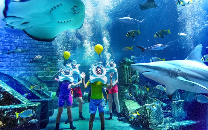Visitors in diving helmets explore Shark Lagoon at Aquaventure Waterpark, surrounded by sharks and fish.