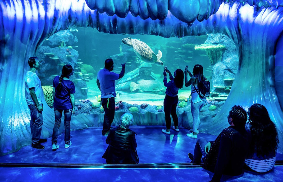 Visitors observing diverse marine life at SEA LIFE Sydney Aquarium, Australia.