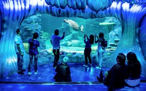 Sea Life Sydney Aquarium: Entradas