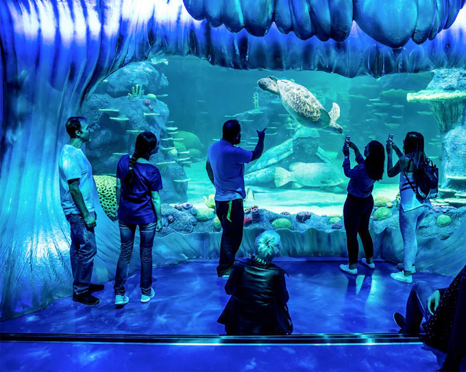 SEA LIFE Sydney Aquarium Tickets