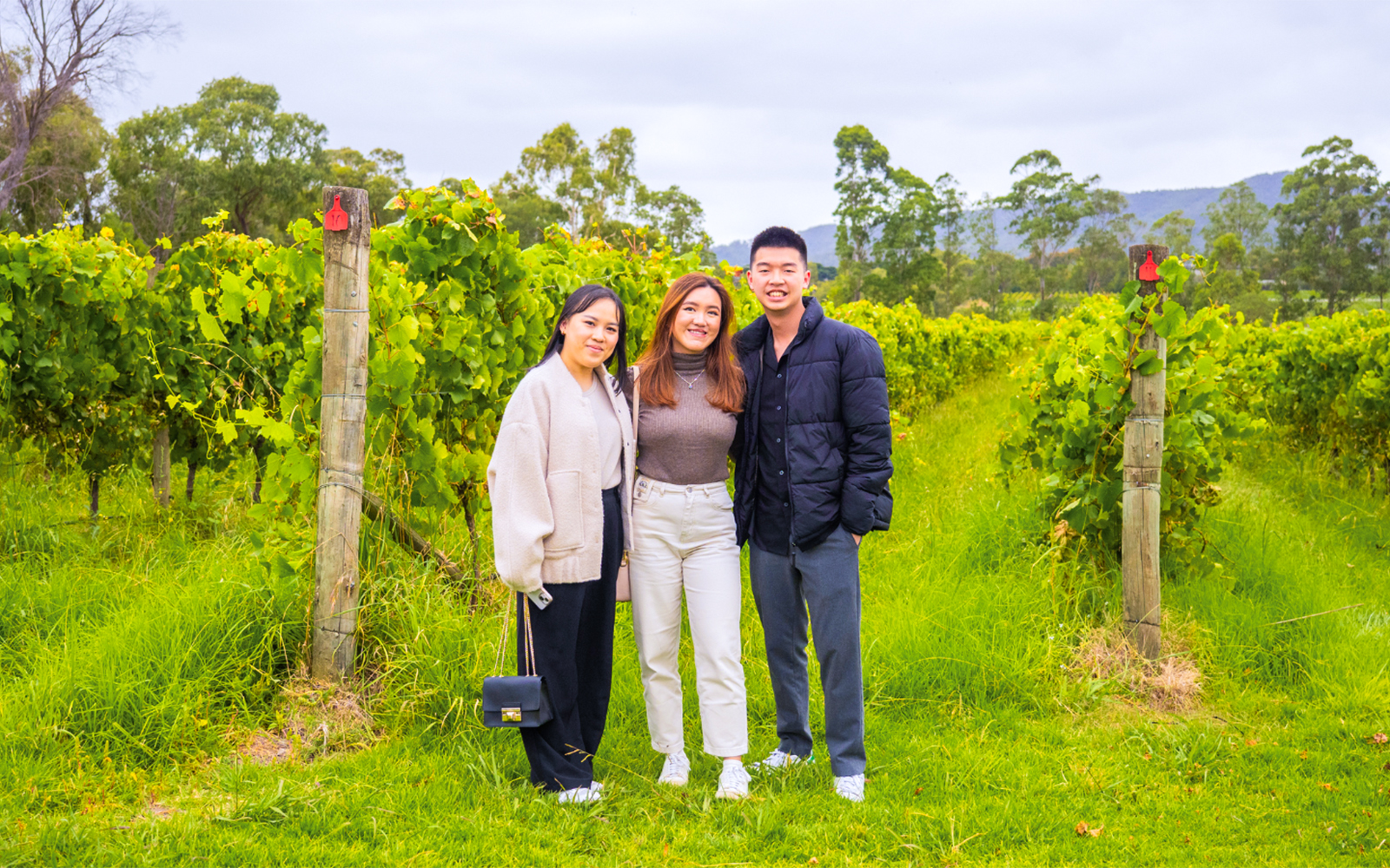 Tourists standing in a vineyard during Yarra Valley Full Day Grazing Tour.