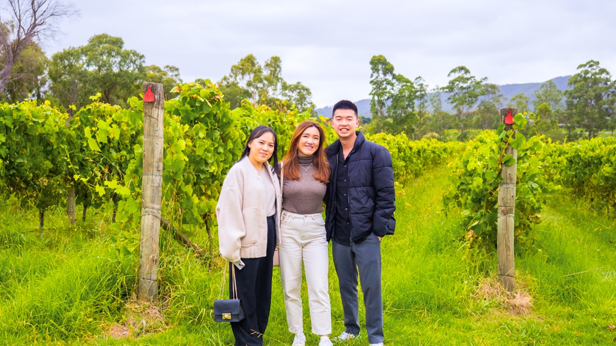 Tourists standing in a vineyard during Yarra Valley Full Day Grazing Tour.