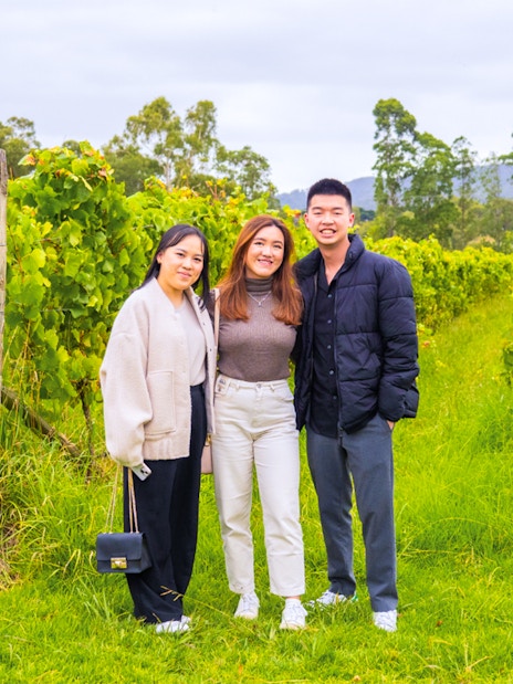 Tourists standing in a vineyard during Yarra Valley Full Day Grazing Tour.