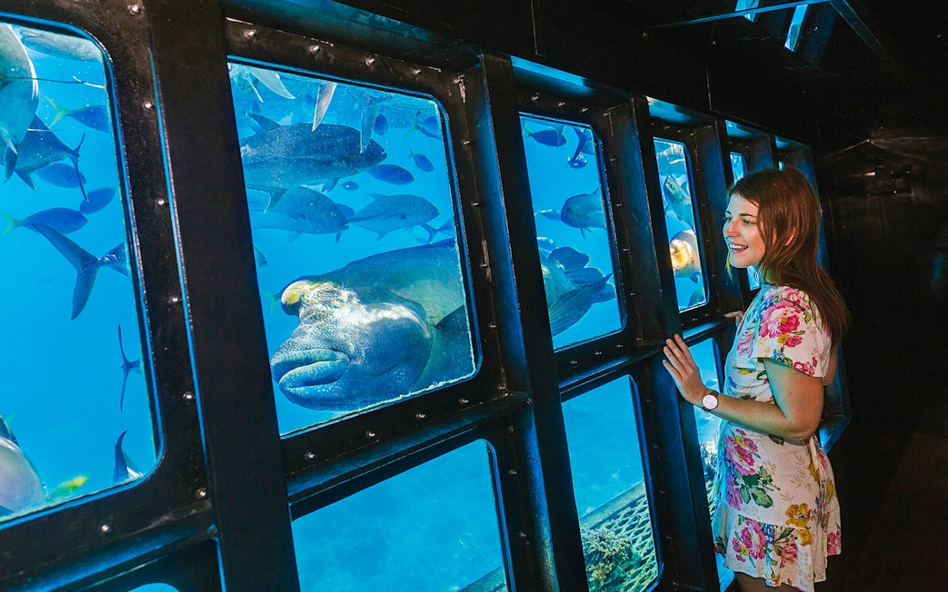 Woman observing fish through semisubmersible window during Moore Reef cruise, Great Barrier Reef.