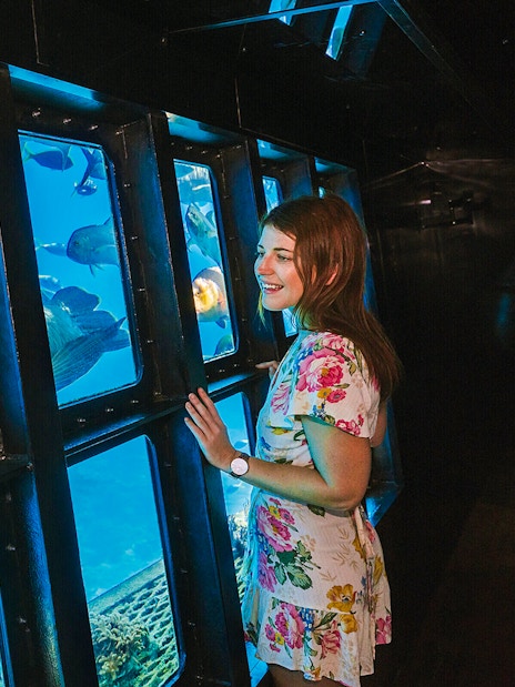 Woman observing fish through semisubmersible window during Moore Reef cruise, Great Barrier Reef.
