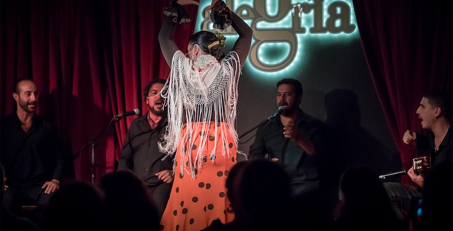 Billets pour les spectacles de flamenco de Malaga