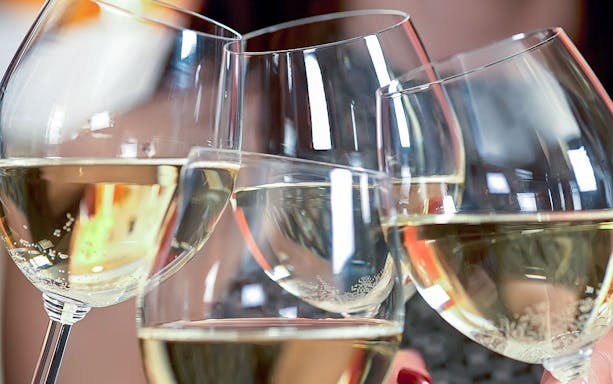 Wine glasses clinking on Yarra Valley winery tour with lunch.