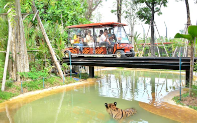 Safari car on bridge above tiger in forest setting.