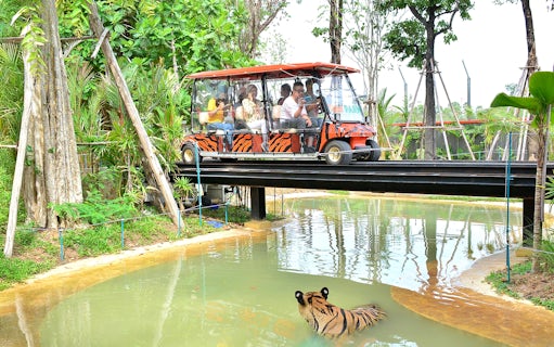 Safari car on bridge above tiger in forest setting.