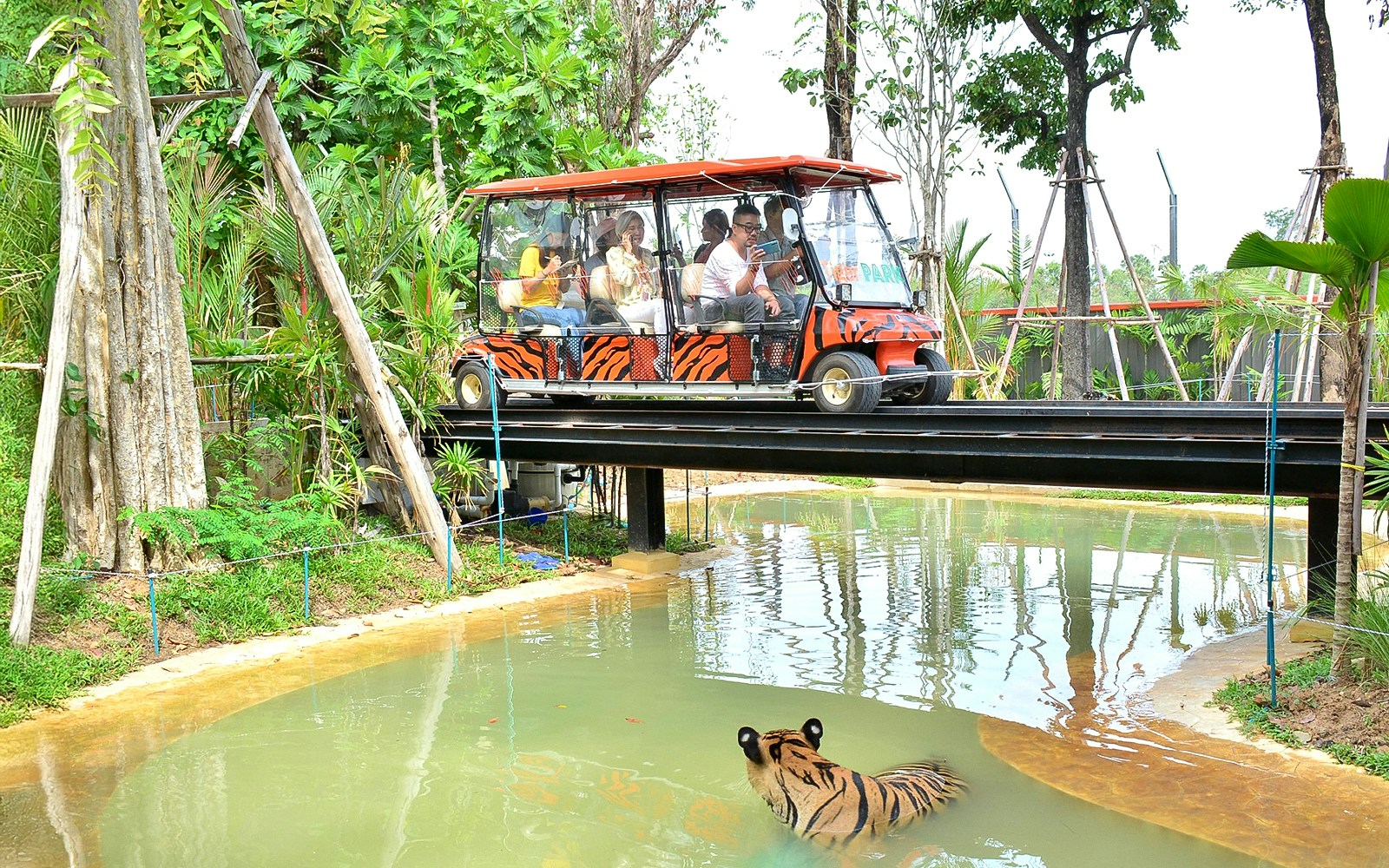 Tiger Park Pattaya