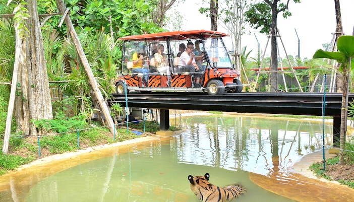 Safari car driving through dense forest on sightseeing tour.