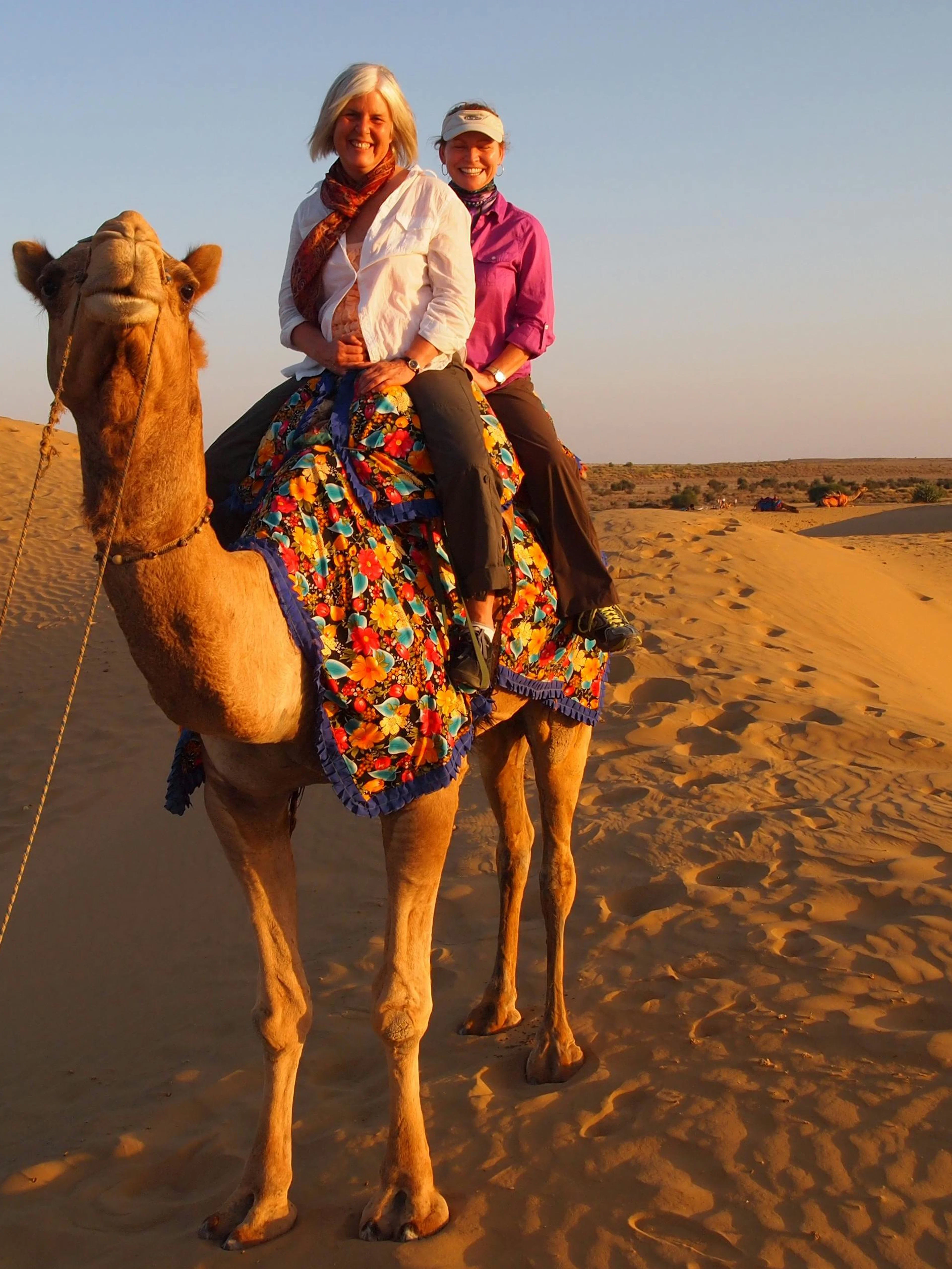 Camel ride in Agadir desert along Souss River.