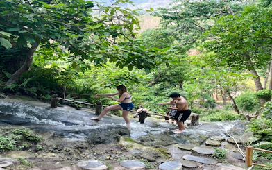 Bua Thong Sticky Waterfall Half-Day Private Car Tour with Driver from Chiang Mai