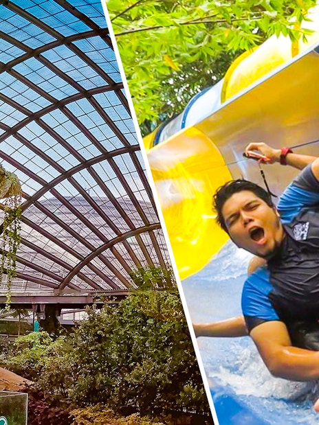Entopia Penang Butterfly Farm tree and ESCAPE Penang water slide experience.