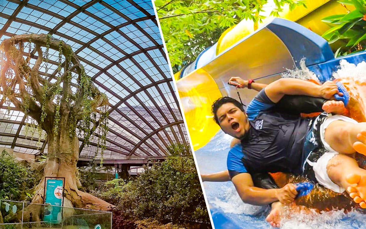 Entopia Penang Butterfly Farm tree and ESCAPE Penang water slide experience.