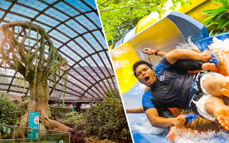 Combo: Entopia by Penang Butterfly Farm + ESCAPE Penang Tickets
