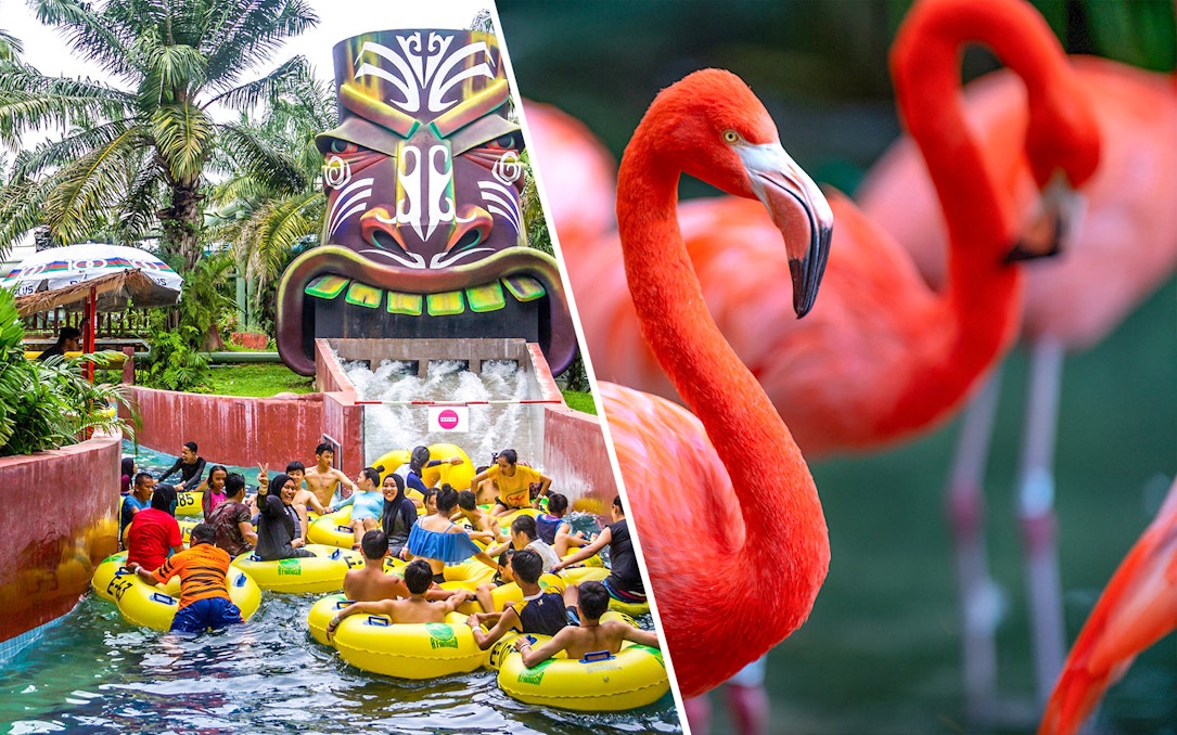 Visitors enjoying water ride and flamingos at A'Famosa Melaka Safari Wonderland.