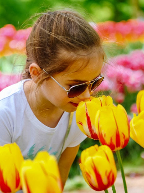 Child enjoying tulips at Tulip Experience Amsterdam.