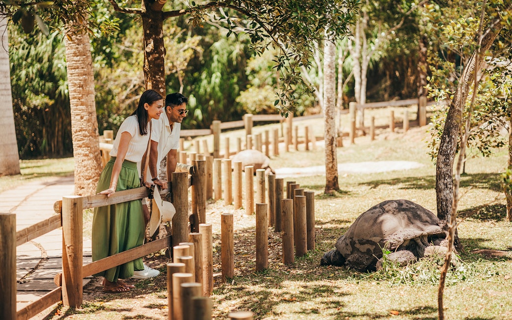 Visitors observing a giant tortoise on Chamarel 7 Coloured Earth plantation tour.