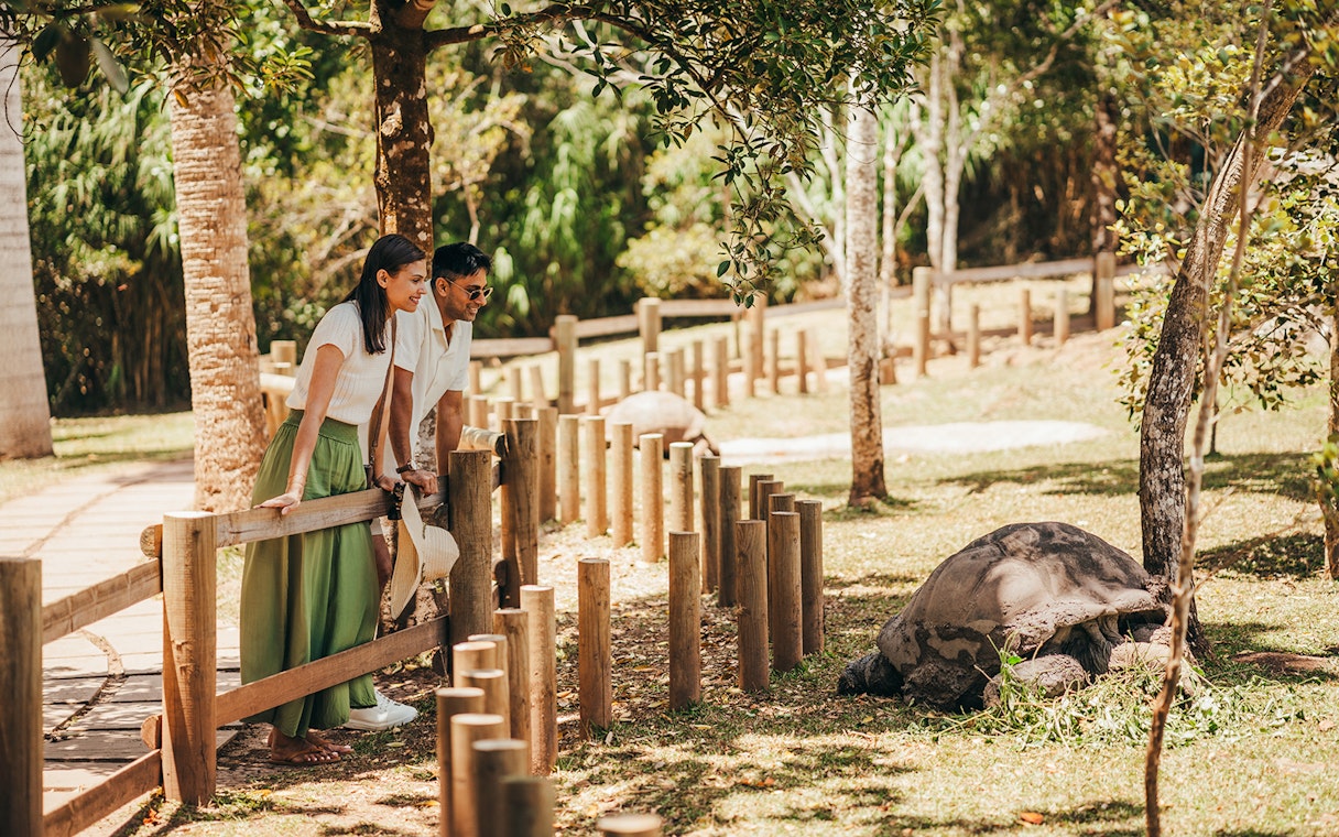 Visitors observing a giant tortoise on Chamarel 7 Coloured Earth plantation tour.