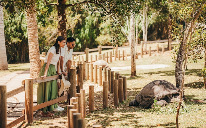 Visitors observing a giant tortoise on Chamarel 7 Coloured Earth plantation tour.