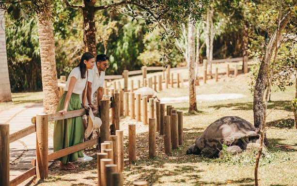 Visitors observing a giant tortoise on Chamarel 7 Coloured Earth plantation tour.