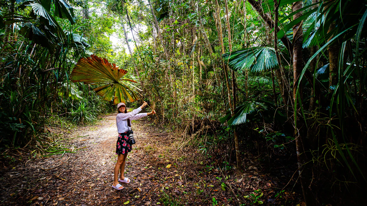 Long-haired girl under fan palms in Daintree Rainforest, Australia.