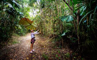 Long-haired girl under fan palms in Daintree Rainforest, Australia.