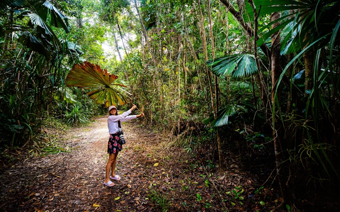Long-haired girl under fan palms in Daintree Rainforest, Australia.