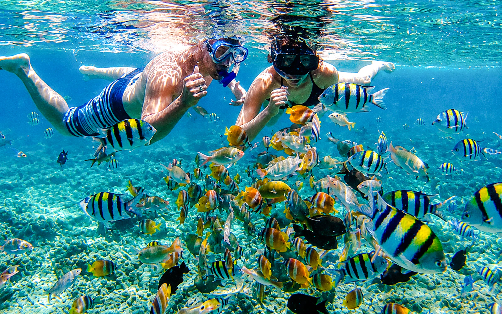 Bali Blue Lagoon Beach Snorkeling Tour at 2 Spots Image 2