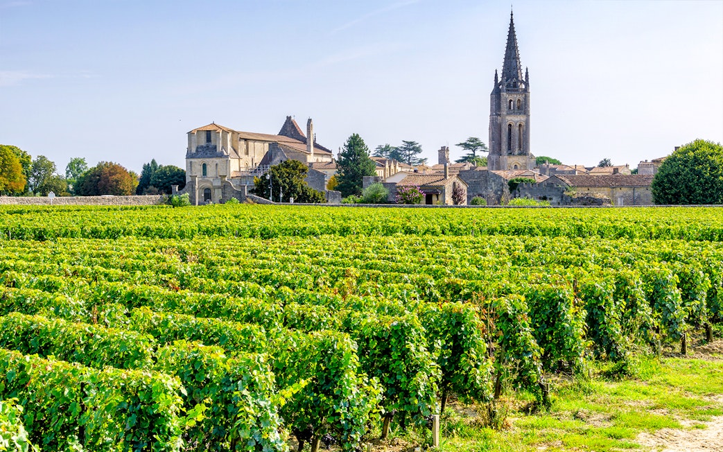 Vineyards in Saint-Emilion with church tower and village in the background.